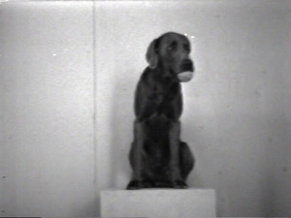 Outtakes from Reels 2 and 3, William Wegman (American, born 1943), Single-channel digital video, transferred from Sony AV 3600 1/2-inch video tape, black-and-white, sound, 21 min., 27 sec.