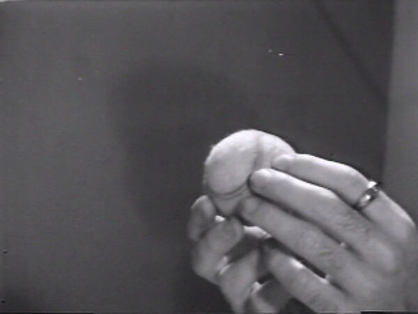 Outtakes from Reels 2 and 3, William Wegman (American, born 1943), Single-channel digital video, transferred from Sony AV 3600 1/2-inch video tape, black-and-white, sound, 21 min., 27 sec.