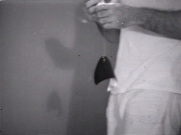 Outtakes from Reels 2 and 3, William Wegman (American, born 1943), Single-channel digital video, transferred from Sony AV 3600 1/2-inch video tape, black-and-white, sound, 21 min., 27 sec.