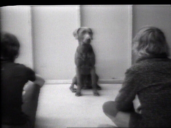 Calling Man Ray, William Wegman (American, born 1943), Single-channel digital video, transferred from Sony AV 3600 1/2-inch video tape, black-and-white, sound, 44 sec. 