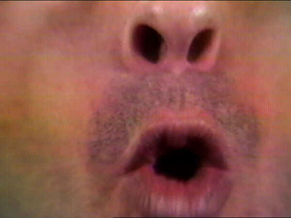 Oh Boy, Fruit, William Wegman (American, born 1943), Single-channel digital video, transferred from 3/4-inch U-matic video tape, color, sound, 26 sec. 