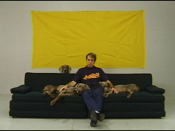 Late Night, William Wegman (American, born 1943), Single-channel digital video, transferred from Sony MiniDV video tape, color, sound, 7 min., 5 sec. 