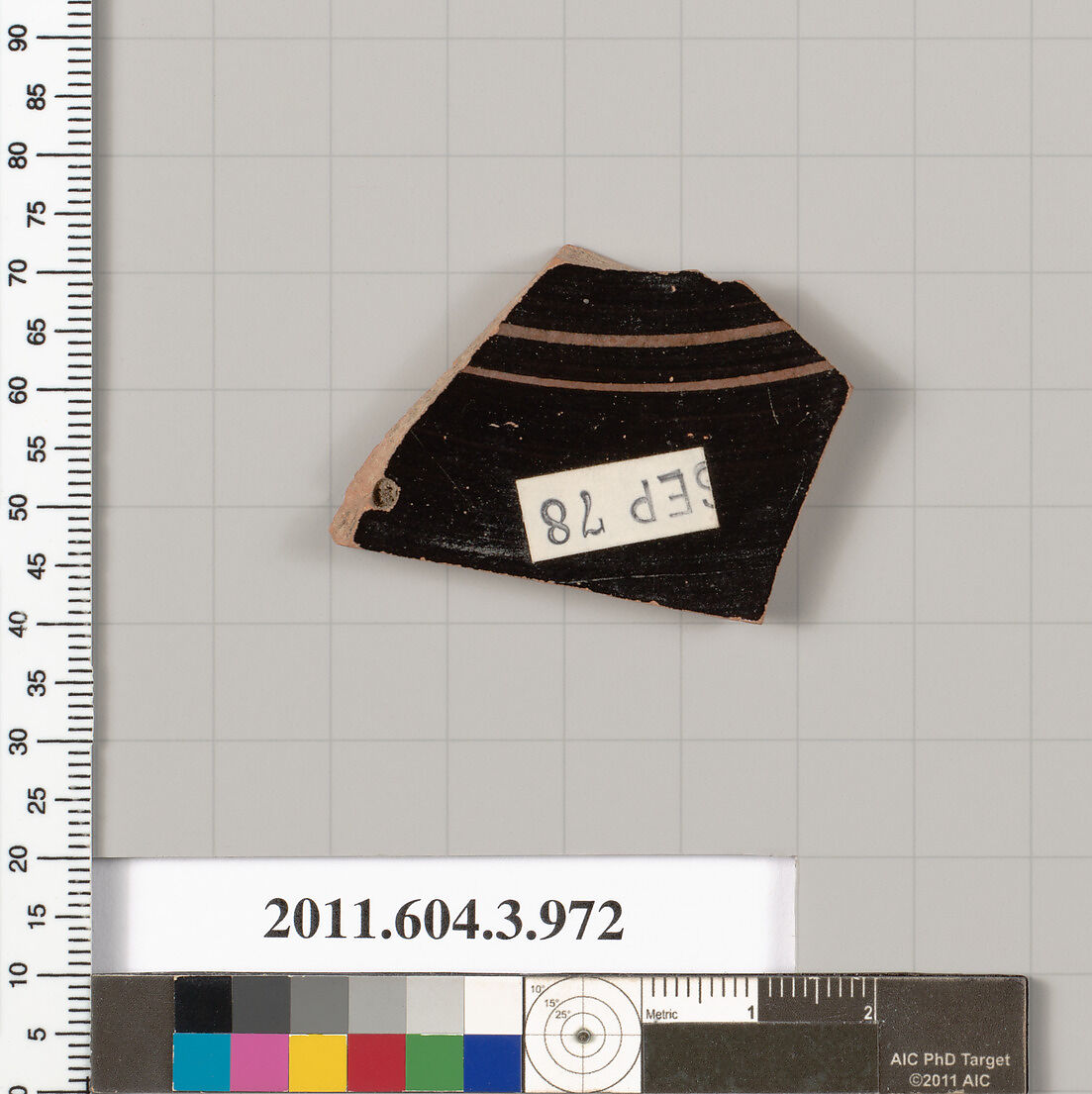 Terracotta fragment of a lekanis lid (covered dish), Terracotta, Greek, Attic