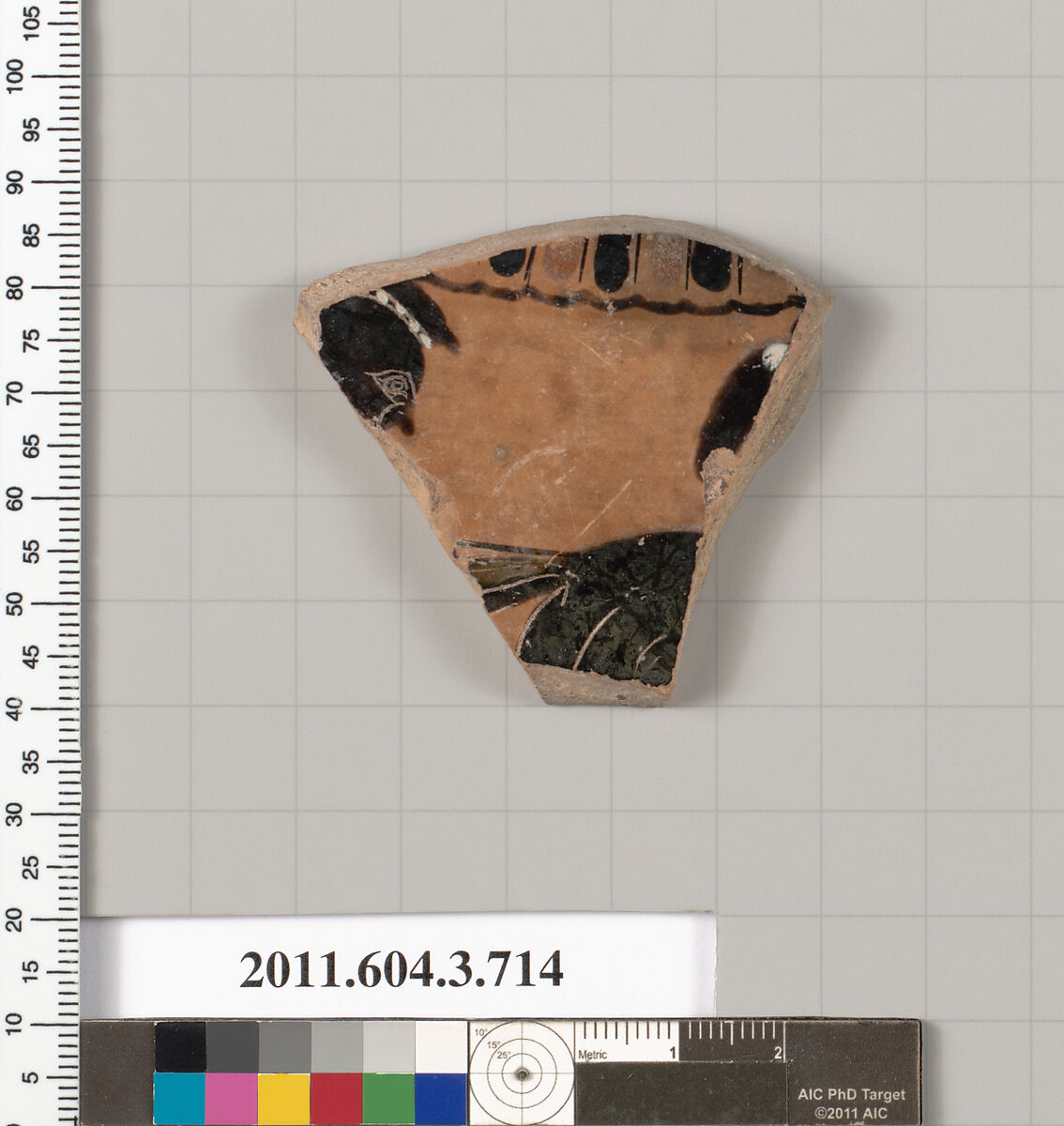 Terracotta fragment of a hydria (water jar), Terracotta, Greek, Attic 