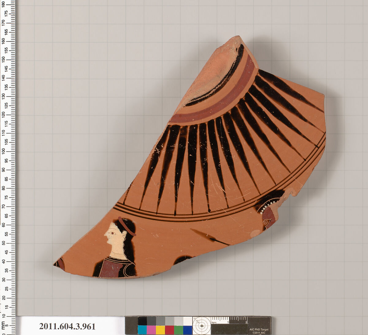 Terracotta fragment of a lekanis lid (covered dish), Terracotta, Greek, Attic 