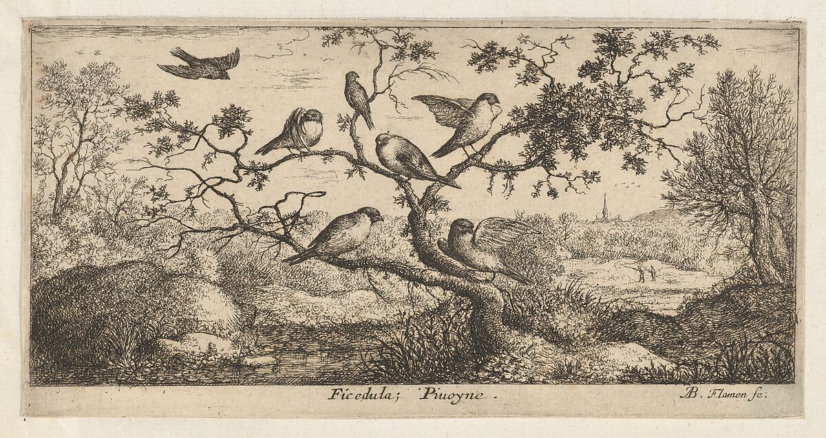 Ficedula, Piuoyne (The Bullfinch), from "Livre d'Oyseaux" (Book of Birds), Albert Flamen (Flemish, born ca. 1620, active 1648–88), Etching 