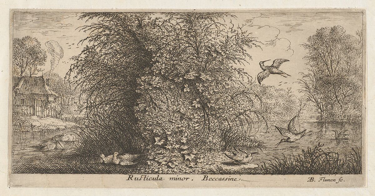 Rusticula minor, Beccassine (The Snipe), from "Livre d'Oyseaux" (Book of Birds), Albert Flamen (Flemish, born ca. 1620, active 1648–88), Etching 