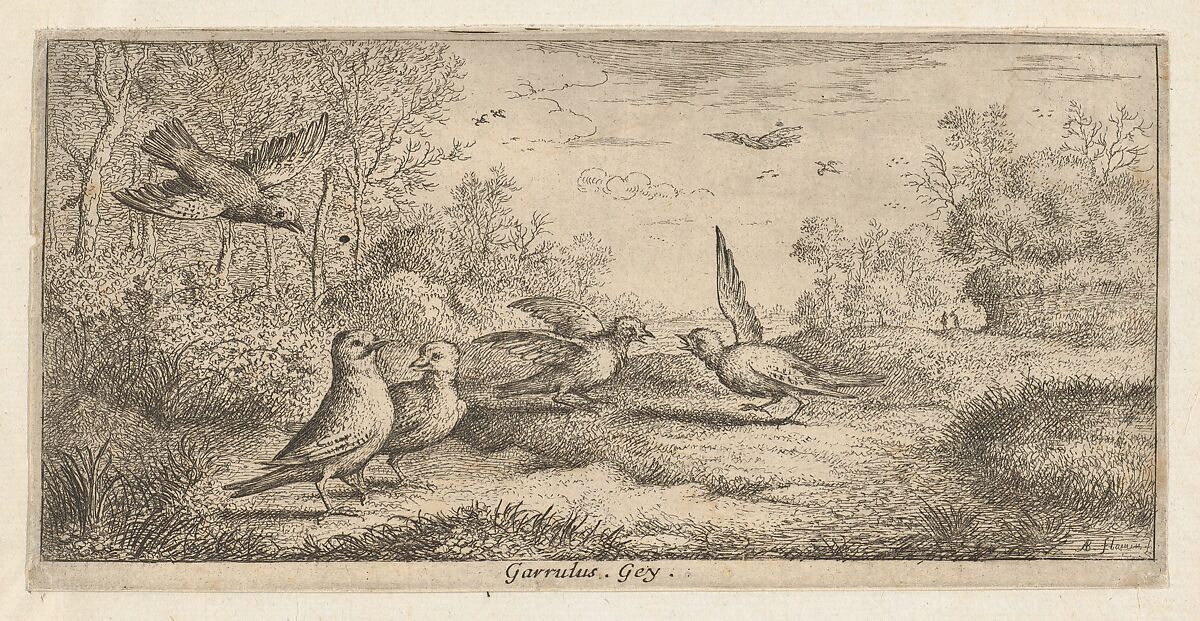 Garrulus, Gey (The Jay), from "Livre d'Oyseaux" (Book of Birds), Albert Flamen (Flemish, born ca. 1620, active 1648–88), Etching 