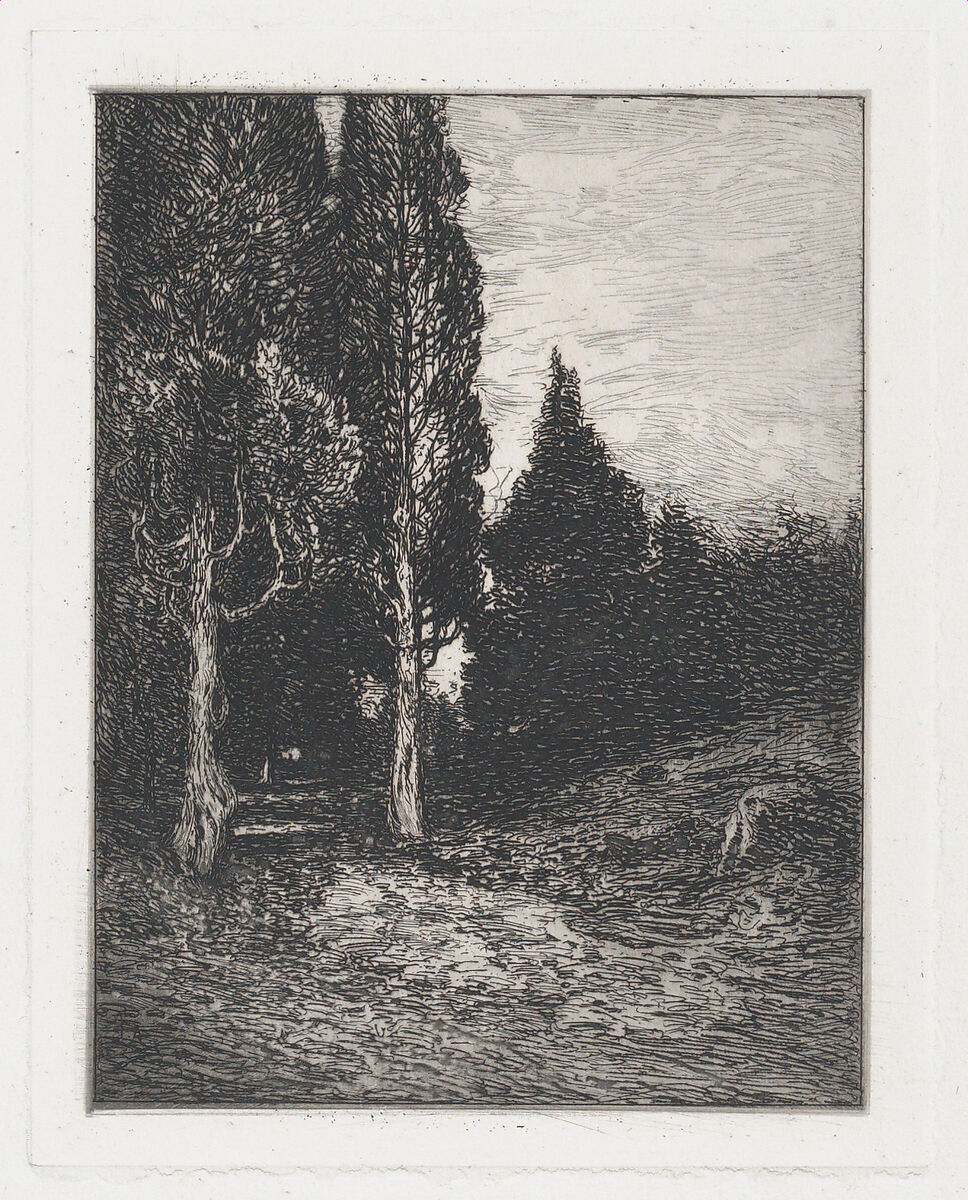 Landscape, Frank Anderson (American, 1844–1891), Drypoint 