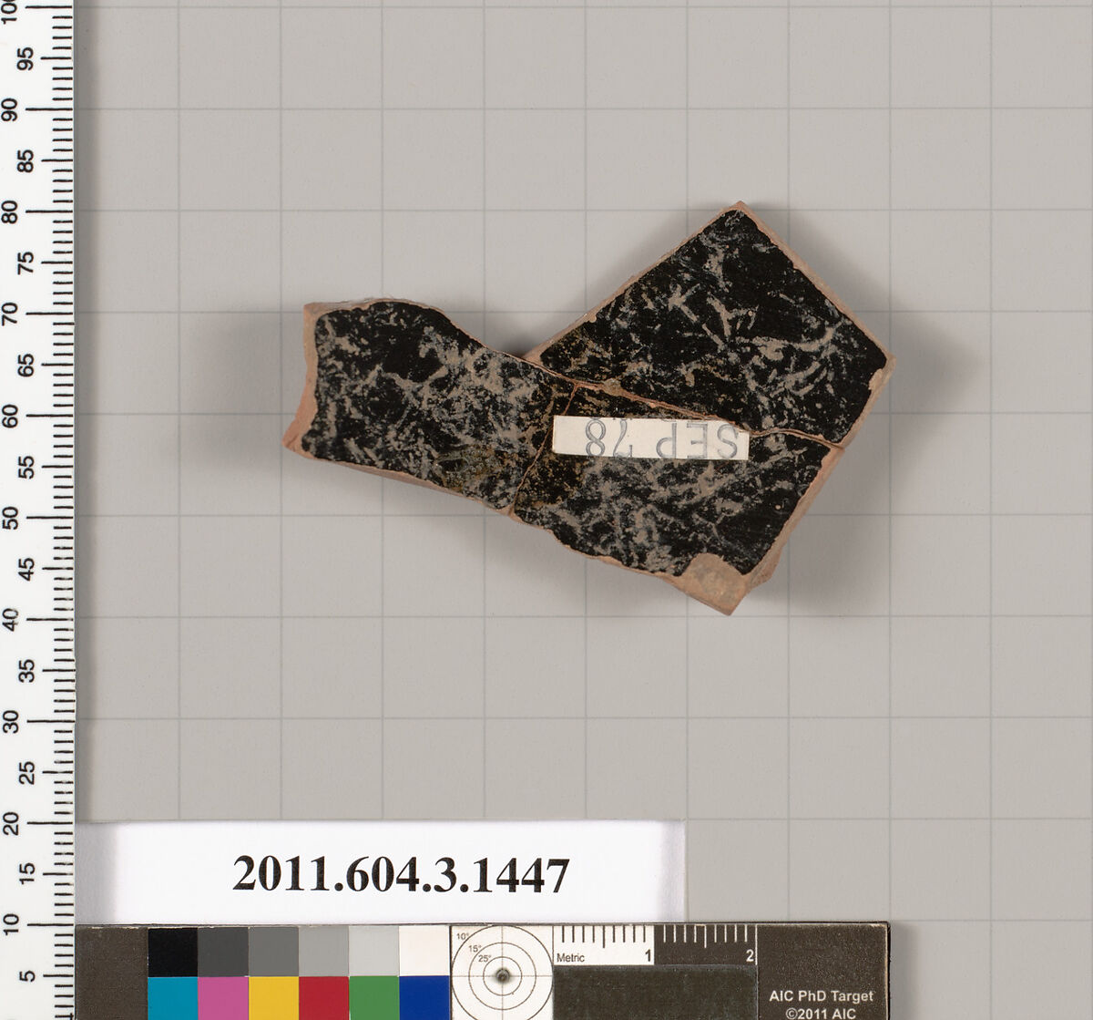 Terracotta fragment of a skyphos (deep drinking cup), Terracotta, Greek, Attic