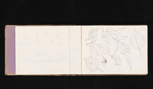 Leaf Studies, Xie Zhiliu (Chinese, 1910–1997), Sheet from a sketchbook; pencil and ink on paper, China