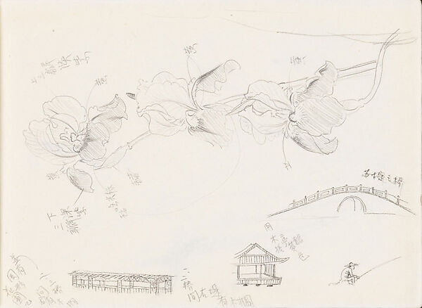 Architecture and Irises, Xie Zhiliu (Chinese, 1910–1997), Sheet from a sketchbook; pencil and ink on paper, China 
