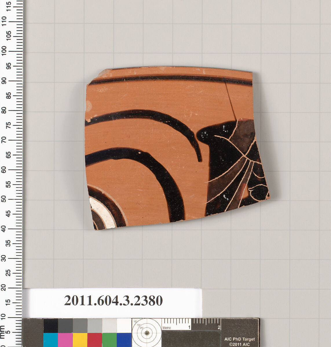 Terracotta rim fragment of a kylix: eye-cup (drinking cup), Terracotta, Greek, Attic 
