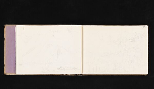 Flower, Plant and Landscape Sketches from Life, Xie Zhiliu (Chinese, 1910–1997), One bound, navy fabric-covered volume; ink, pencil on paper, China