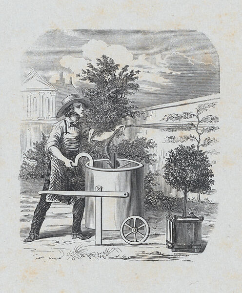Gardener watering his plants, Félix Leblanc (French, born Paris, 1823), Steel engraving 