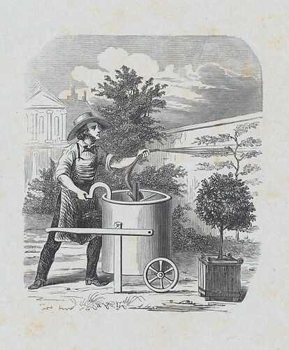 Gardener watering his plants