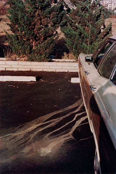 California, William Eggleston (American, born Memphis, Tennessee, 1939), Dye transfer print 