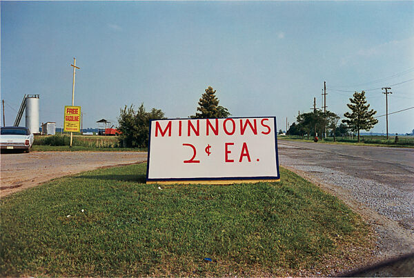 Mississippi, William Eggleston (American, born Memphis, Tennessee, 1939), Dye transfer print 