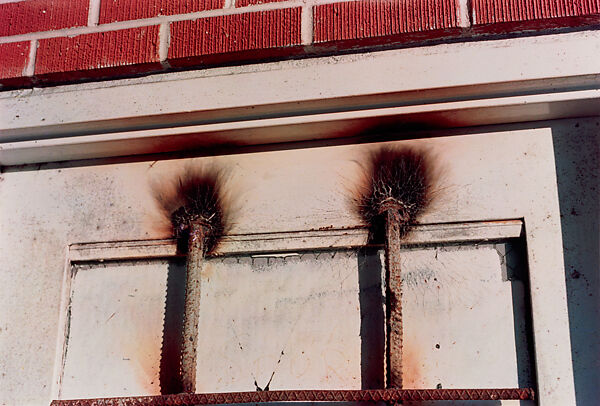 Memphis, William Eggleston (American, born Memphis, Tennessee, 1939), Dye transfer print 