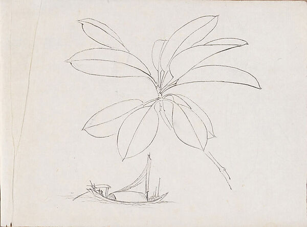 Flower, Plant and Landscape Sketches from Life, Xie Zhiliu (Chinese, 1910–1997), One bound, navy fabric-covered volume; ink, pencil on paper, China 