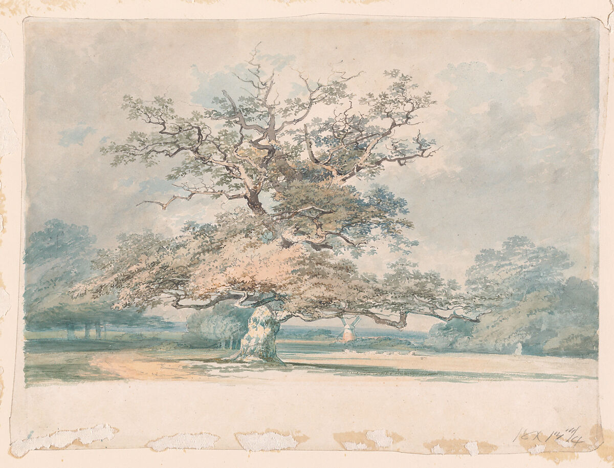 A landscape with an old oak (or beech) tree, Joseph Mallord William Turner (British, London 1775–1851 London), Watercolor over graphite 
