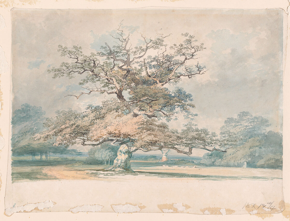 A landscape with an old oak (or beech) tree, Attributed to Joseph Mallord William Turner (British, London 1775–1851 London), Watercolor over graphite 