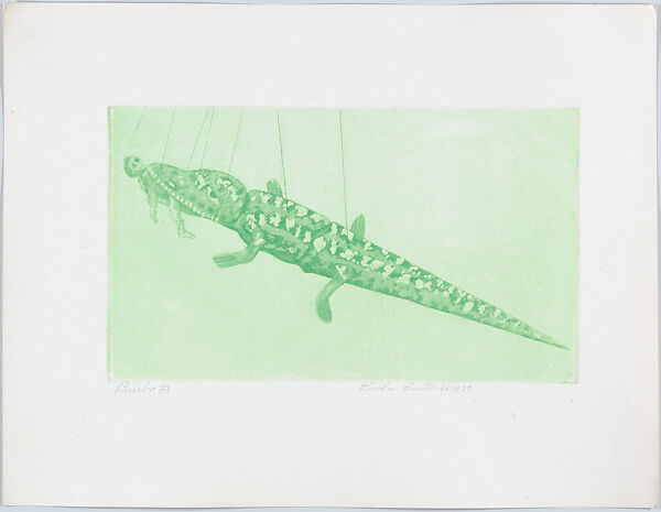 Crocodile, from "Titeres Populares Mexicanos" (Mexican popular puppets), Lola Cueto (Mexican, 1897–1978), Etching and aquatint, proof impression printed in green 