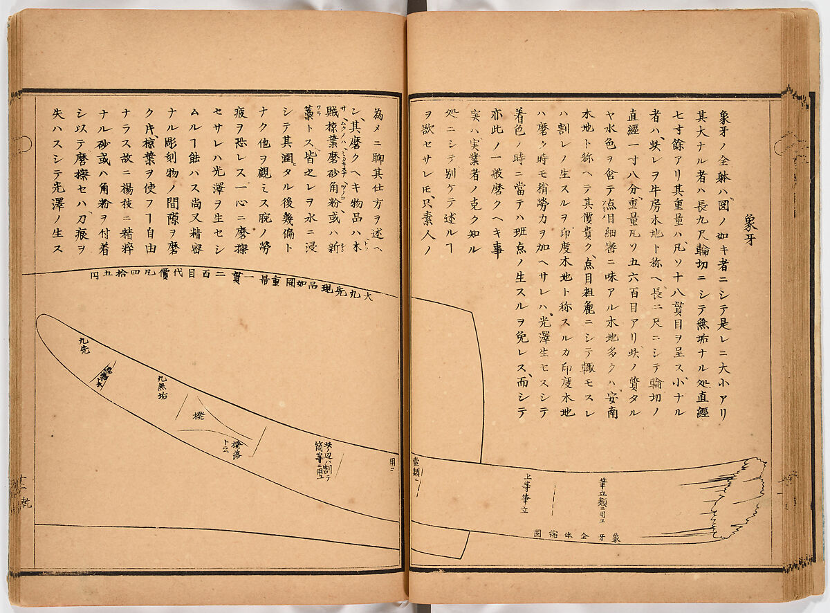 Illustrated book, Ink on paper, Japan