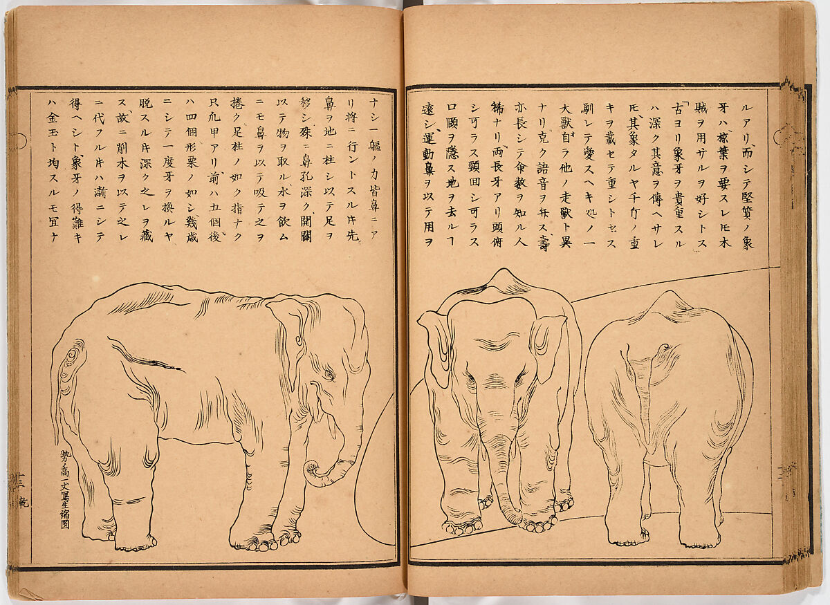 Illustrated book, Ink on paper, Japan