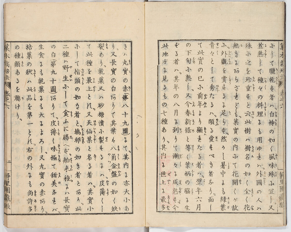 Illustrated book, Ink on paper, Japan