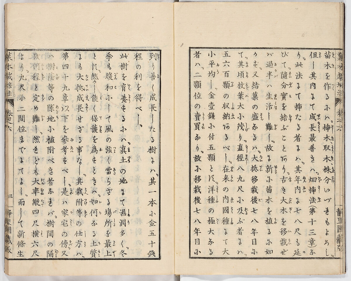 Illustrated book, Ink on paper, Japan