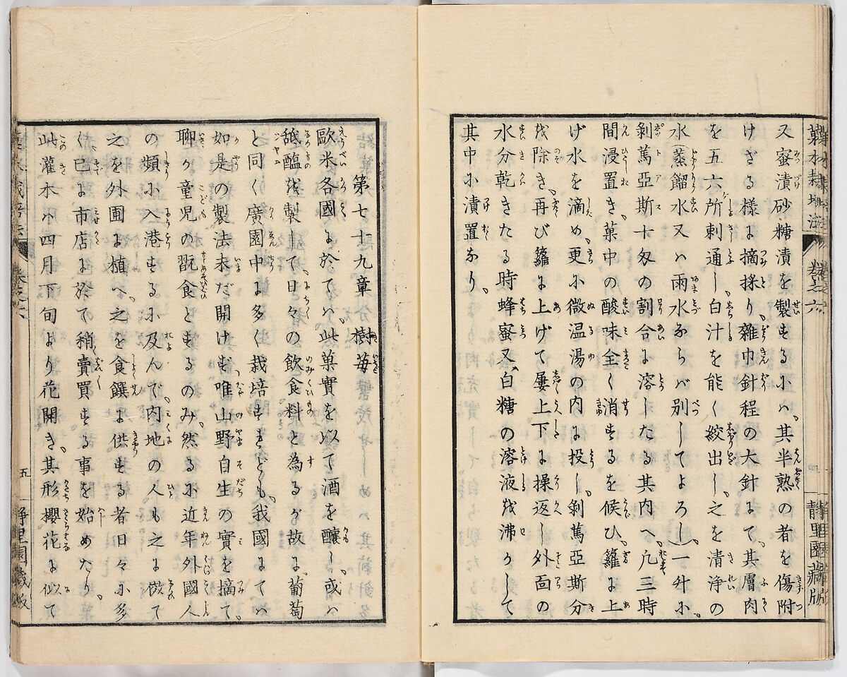 Illustrated book, Ink on paper, Japan