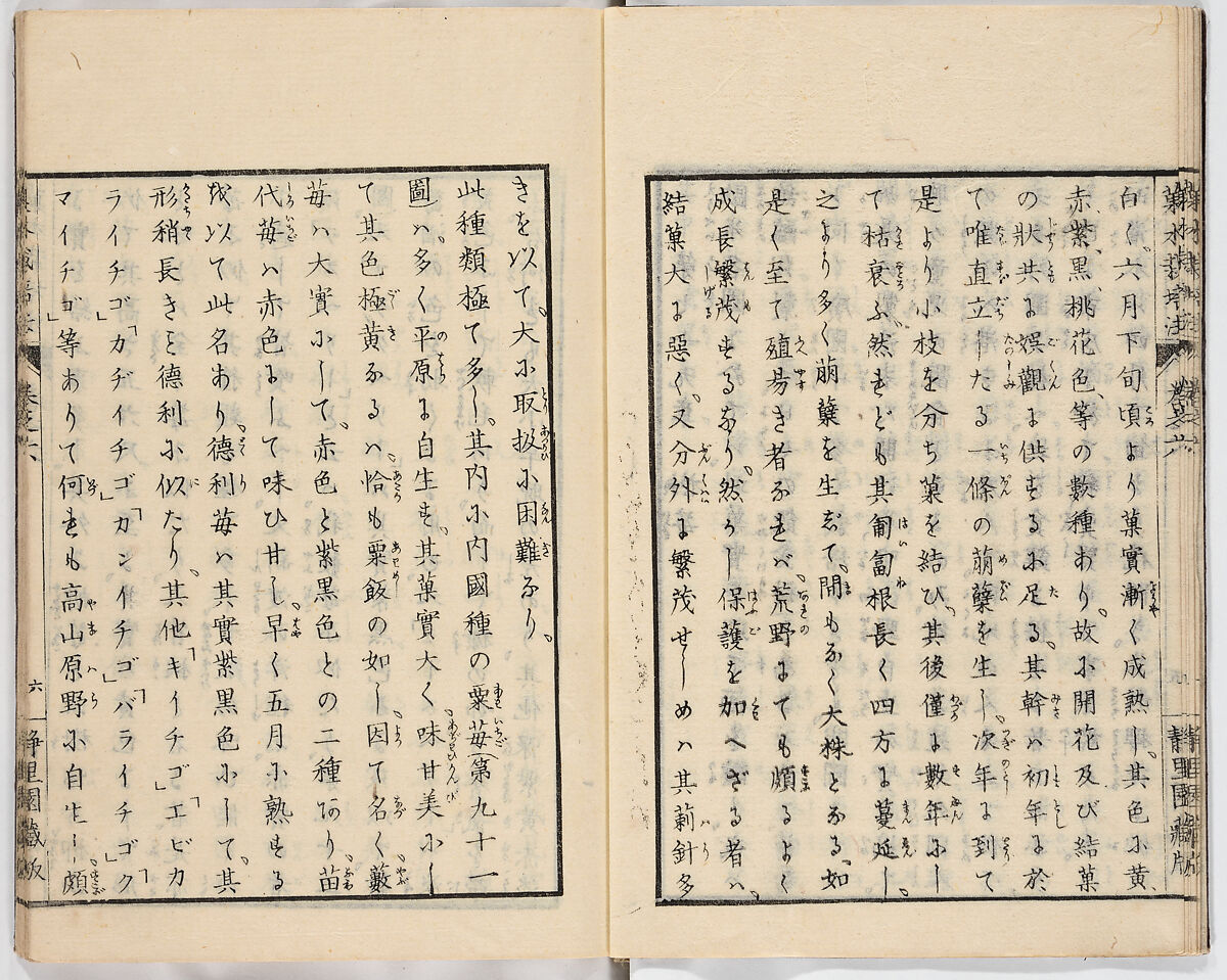 Illustrated book, Ink on paper, Japan