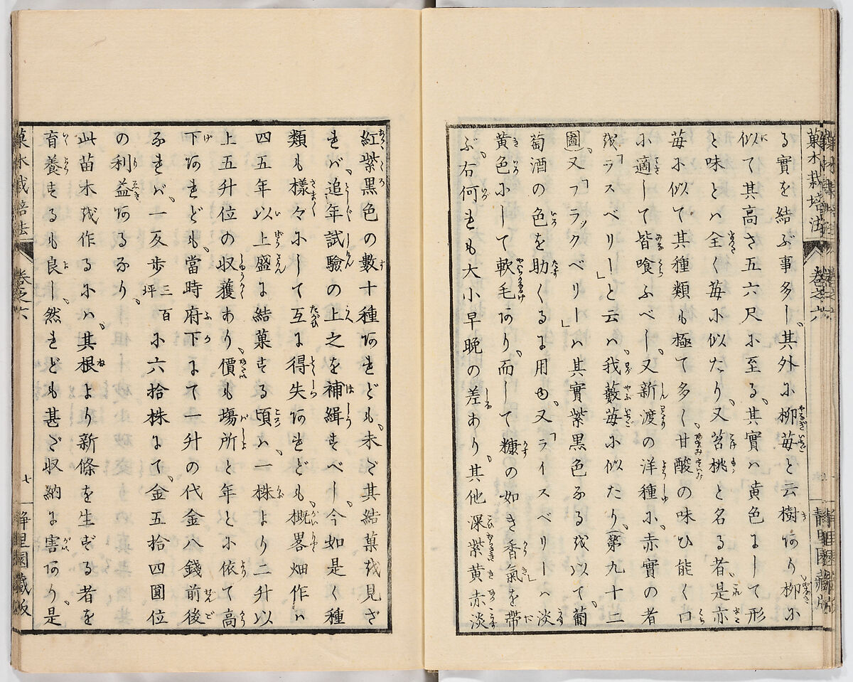 Illustrated book, Ink on paper, Japan