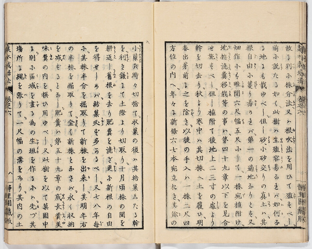 Illustrated book, Ink on paper, Japan