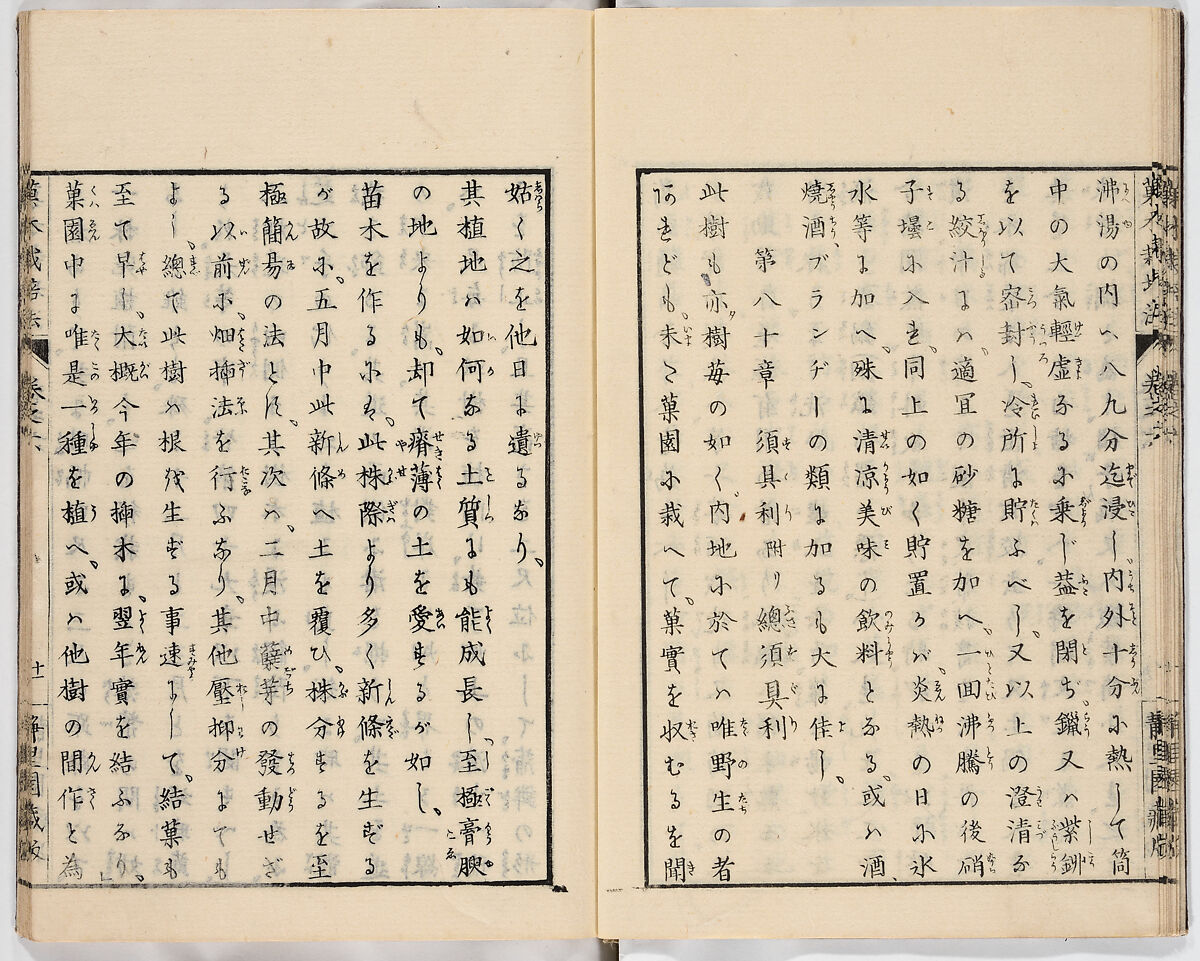 Illustrated book, Ink on paper, Japan