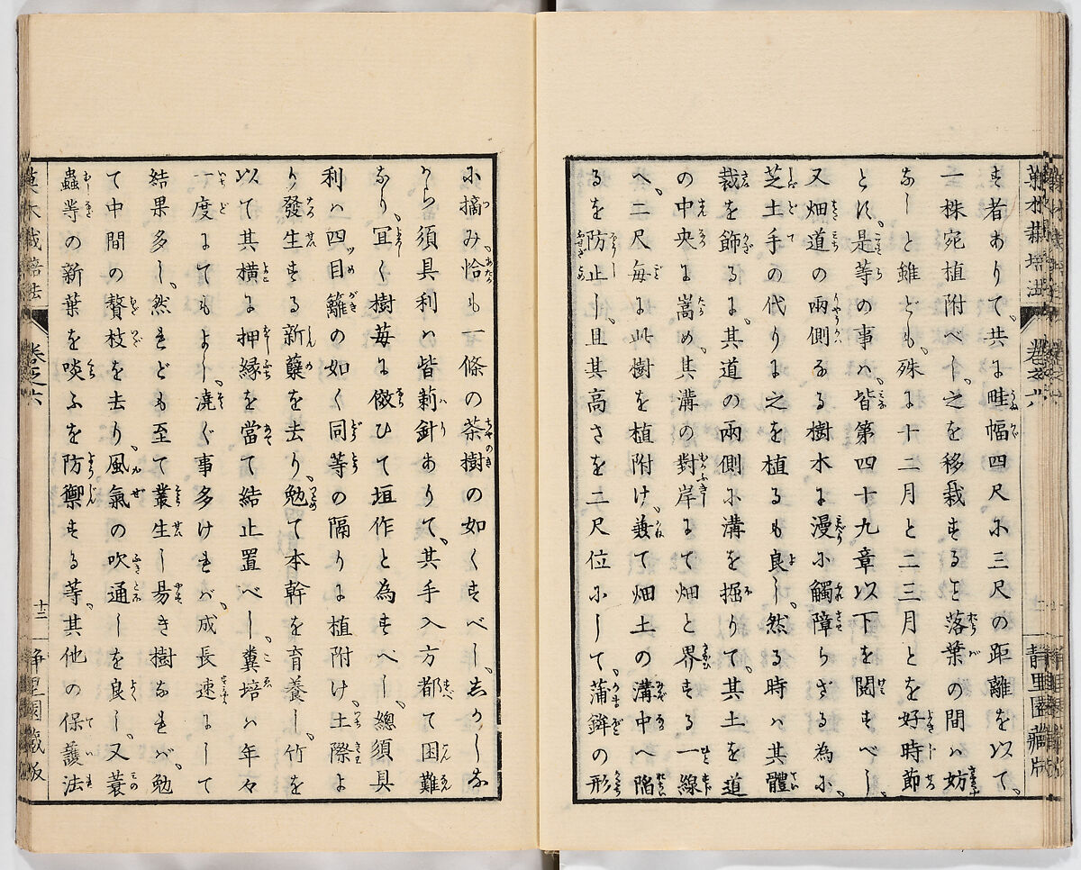 Illustrated book, Ink on paper, Japan