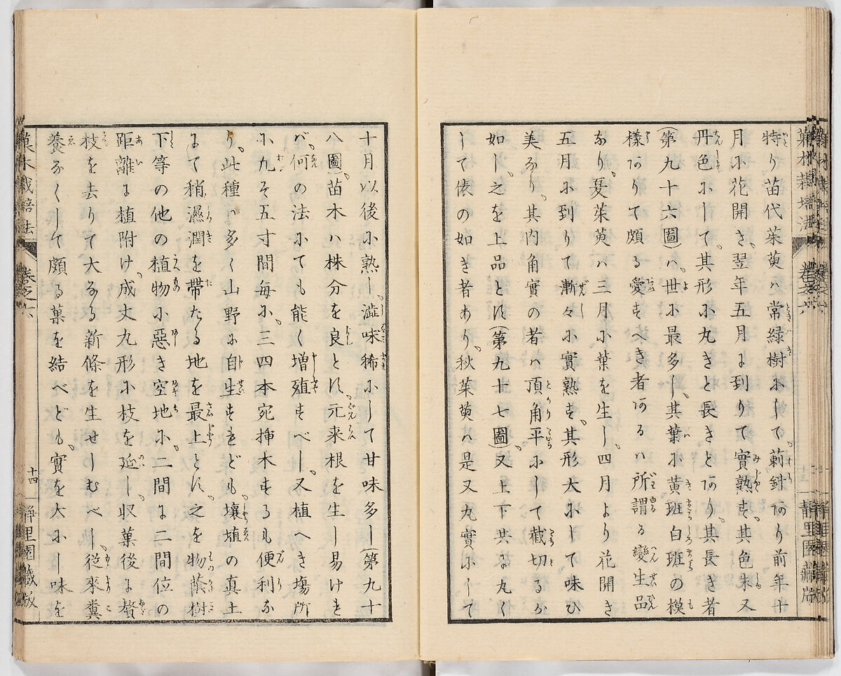 Illustrated book, Ink on paper, Japan