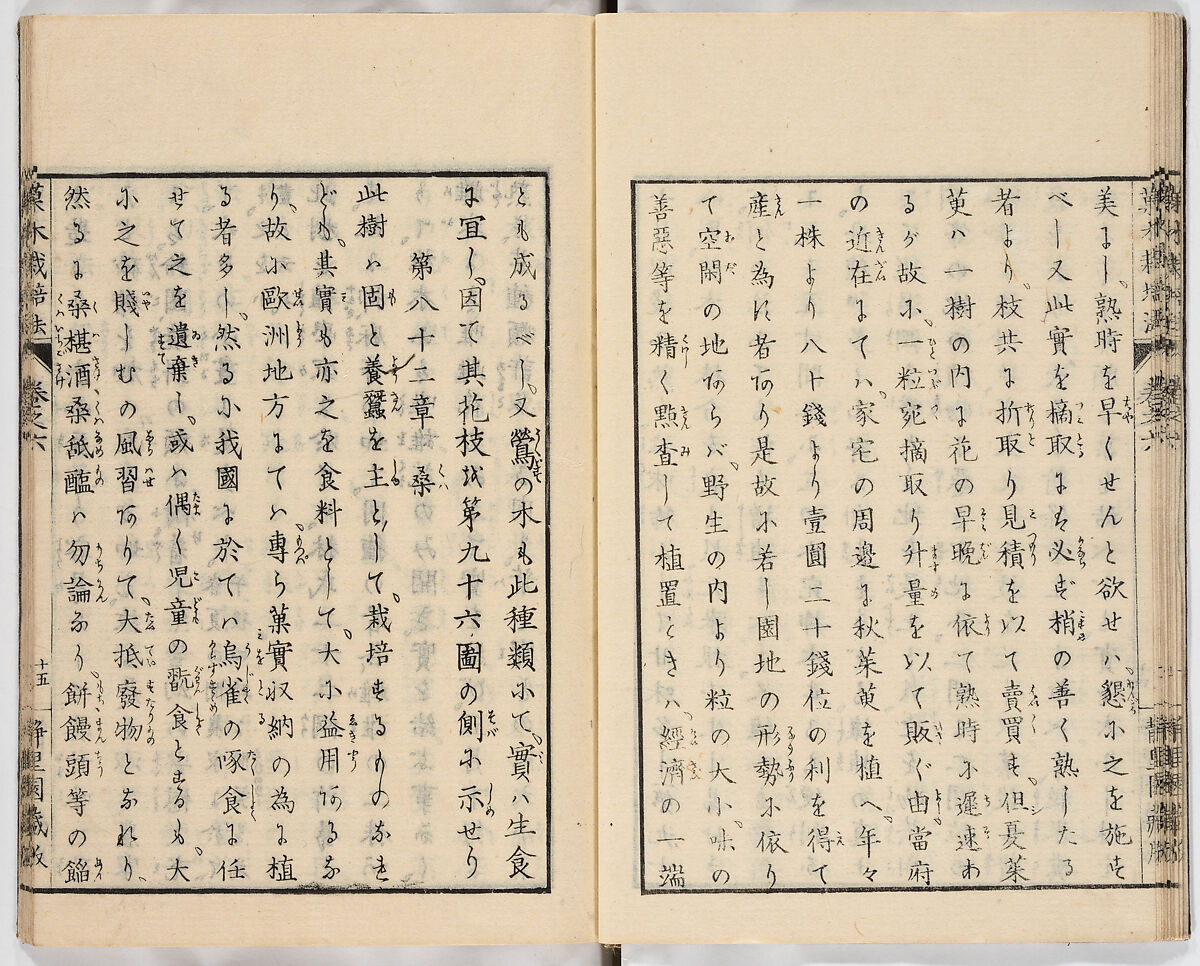 Illustrated book, Ink on paper, Japan