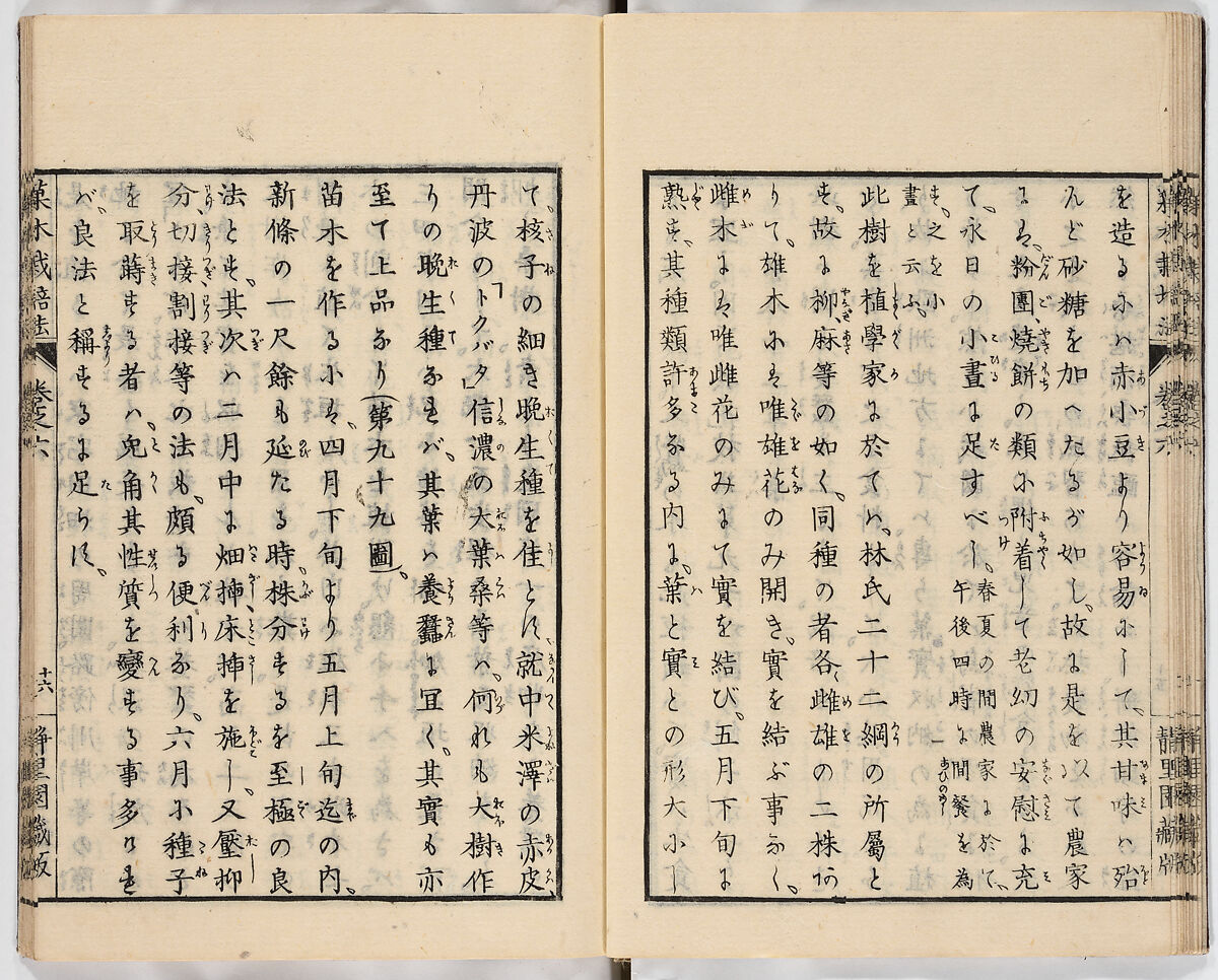 Illustrated book, Ink on paper, Japan