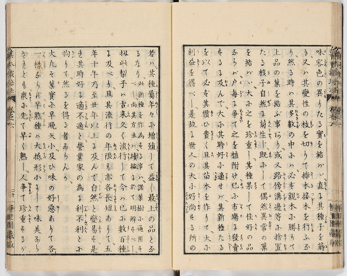 Illustrated book, Ink on paper, Japan