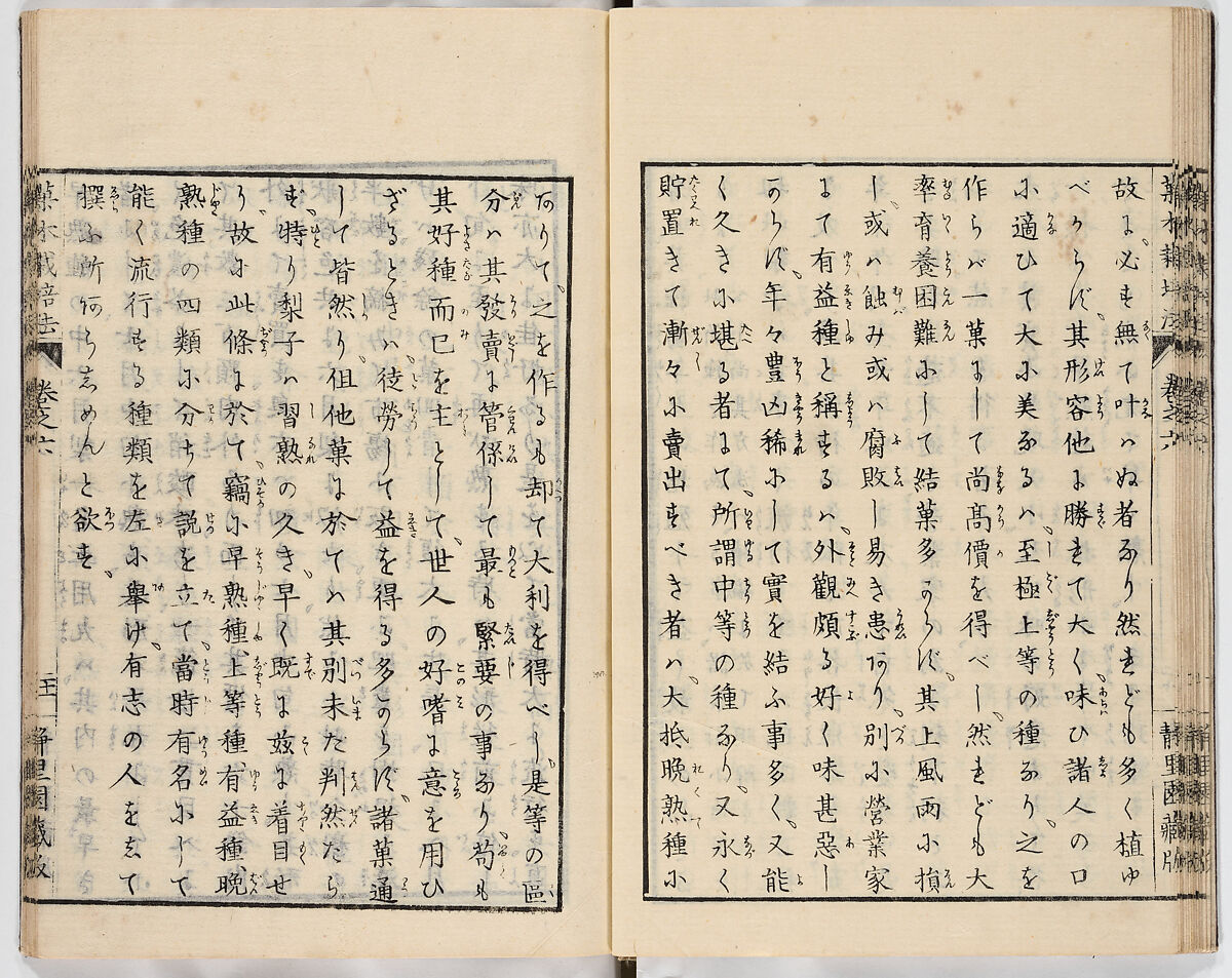 Illustrated book, Ink on paper, Japan