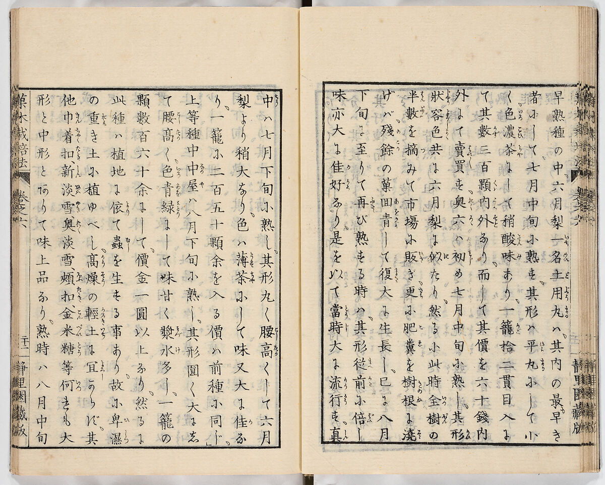 Illustrated book, Ink on paper, Japan