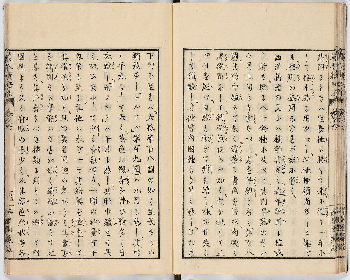 Illustrated book, Ink on paper, Japan