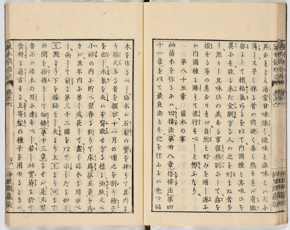 Illustrated book, Ink on paper, Japan