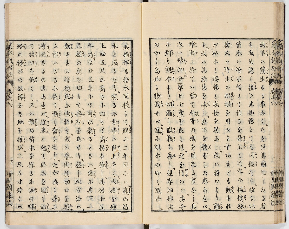 Illustrated book, Ink on paper, Japan