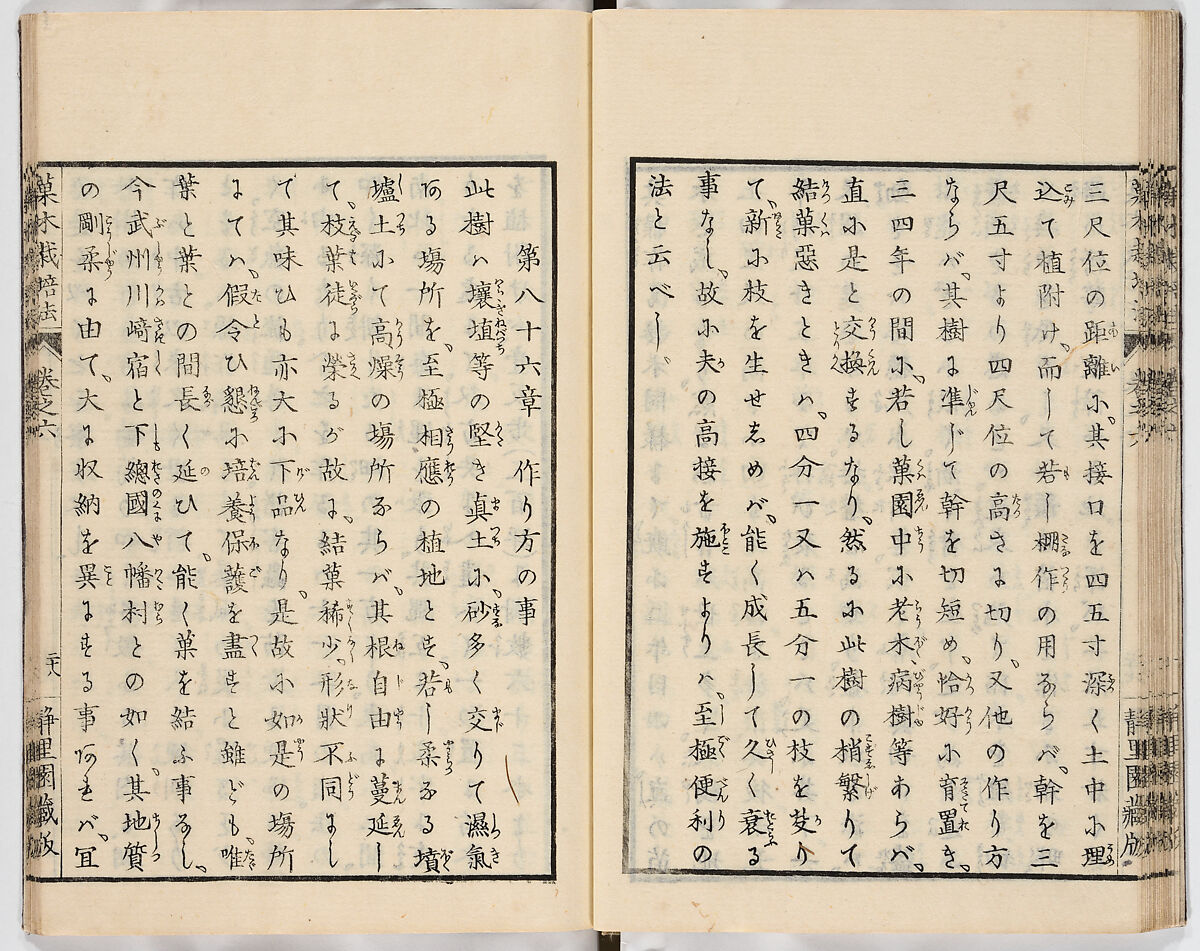 Illustrated book, Ink on paper, Japan