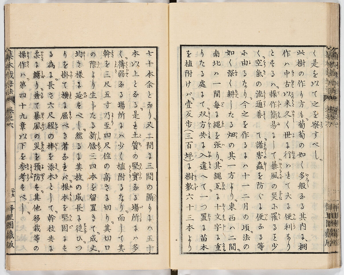 Illustrated book, Ink on paper, Japan