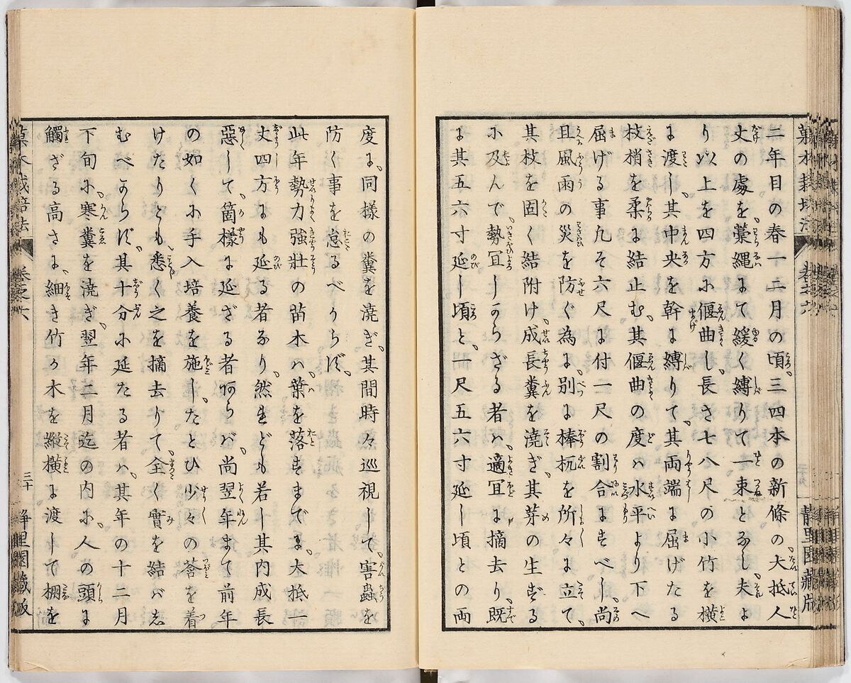 Illustrated book, Ink on paper, Japan