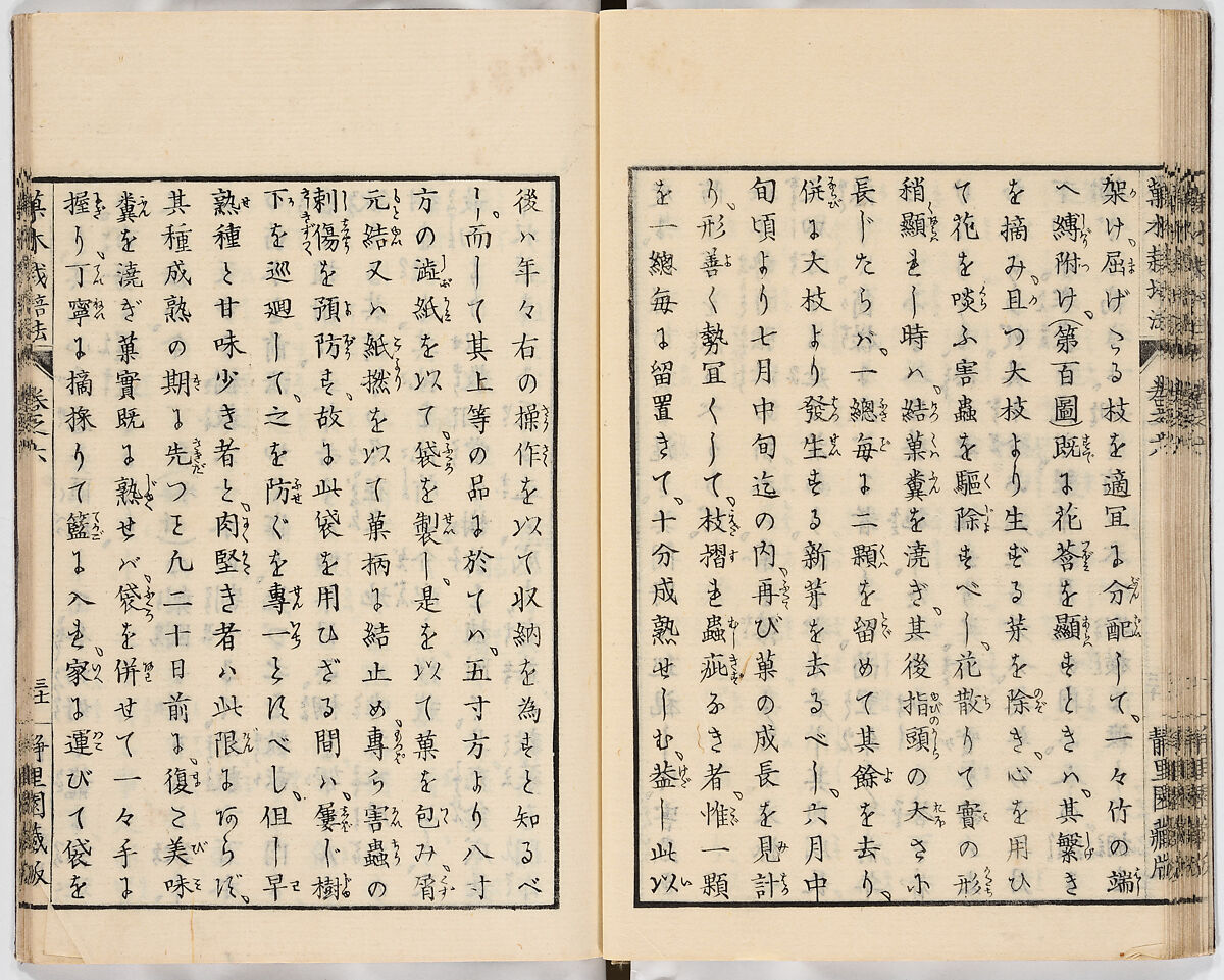 Illustrated book, Ink on paper, Japan